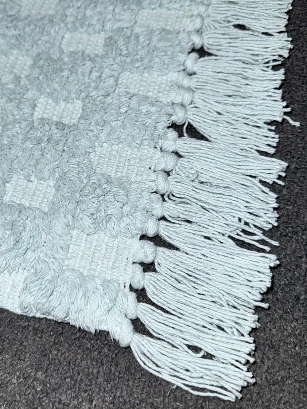 Home Collections Checkered Fringe Bath Mats Cotton Set of Two Aqua Blue 18x28 NW